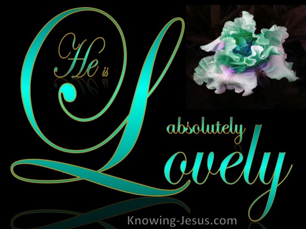 The Song of Solomon 5-16 He Is Absolutely Lovely (green)